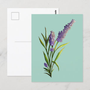Postal Lavender