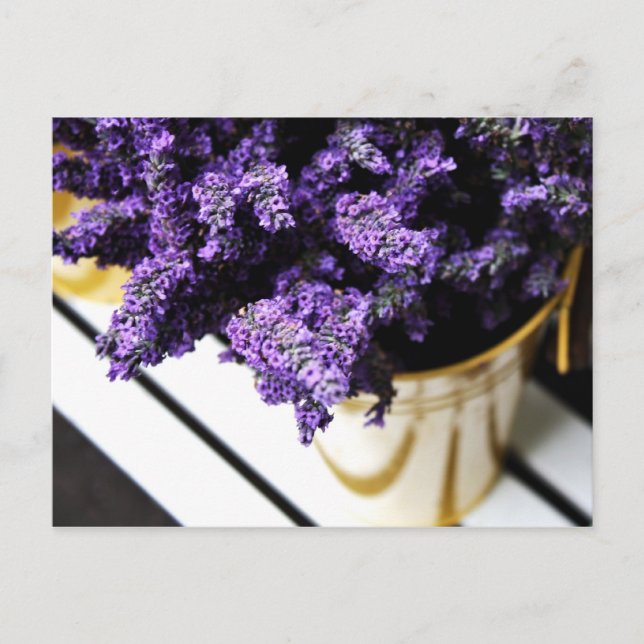 Postal 'Lavender' (Anverso)