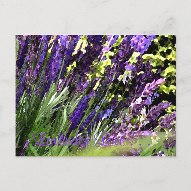 Postal Lavender (Anverso)
