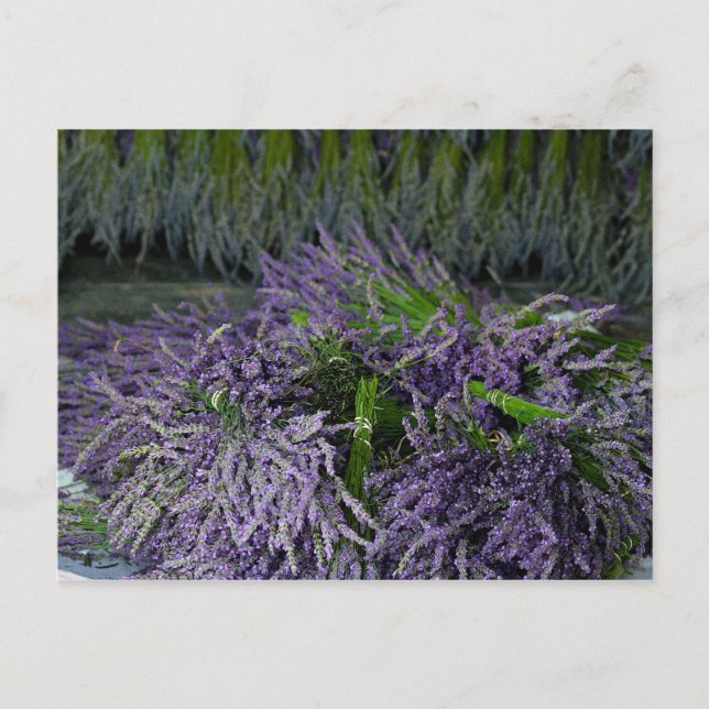 Postal Lavender Bunches (Anverso)