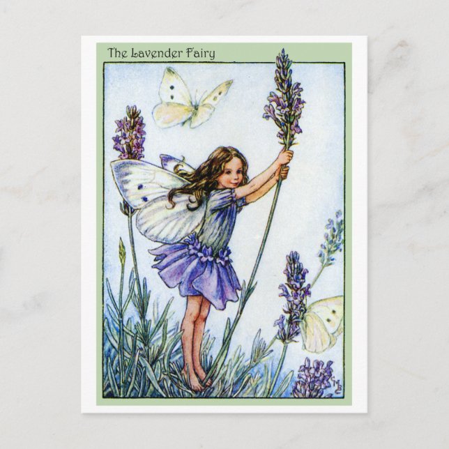 Postal Lavender Fairy (Anverso)