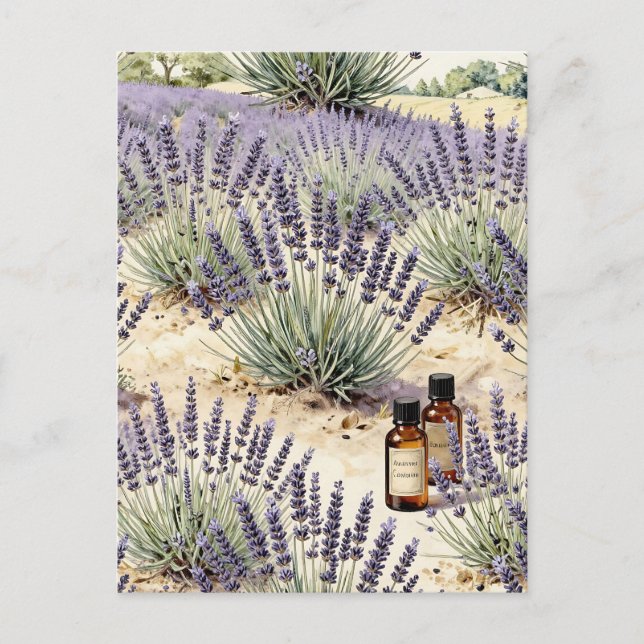 Postal Lavender Field Essential Oil Watercolor Pattern (Anverso)
