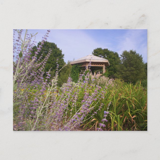 Postal Lavender Garden Gazebo, Mark Edward Westerfield (Anverso)