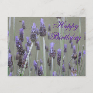 Postal lavender Happy Birday