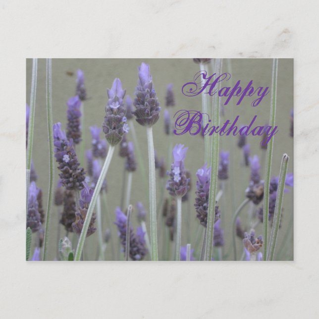 Postal lavender Happy Birday (Anverso)