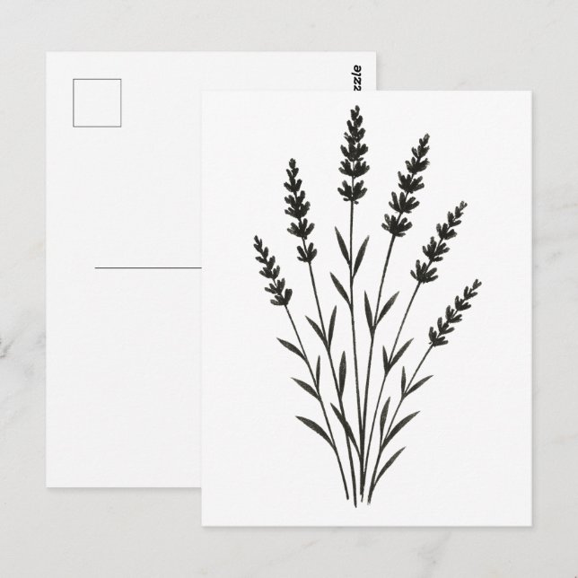 Postal Lavender Sprigs – Minimalist Botanical Design on (Anverso / Reverso)