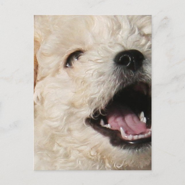 Postal Lawrence Postcard (Anverso)