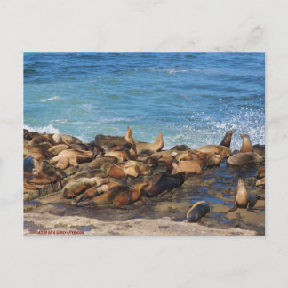 Postal Lazing On A Sunny Afternoon