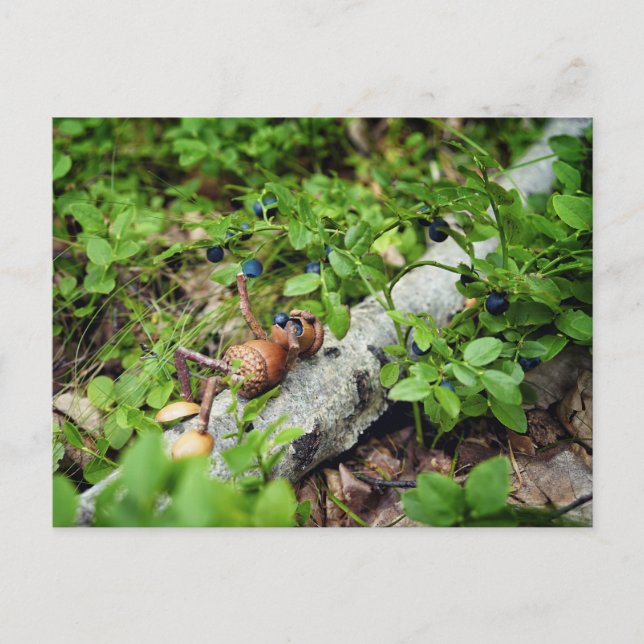 Postal Lazy Acorn elf comiendo arándanos (Anverso)