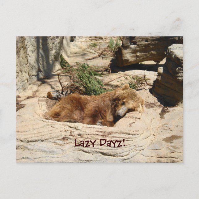 Postal Lazy Dayz Bear (Anverso)