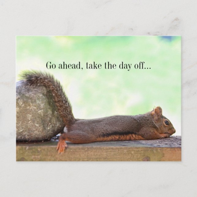 Postal Lazy Squirrel (Anverso)