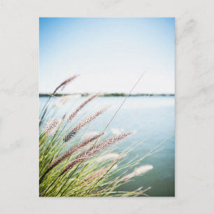 Postal Le long du Saint-Laurent