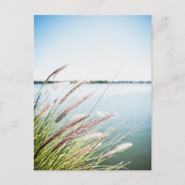 Postal Le long du Saint-Laurent (Anverso)