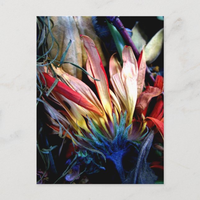 Postal le pass des fleurs (Anverso)