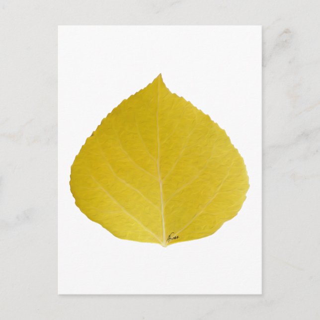 Postal Leaf amarillo #5 (Anverso)
