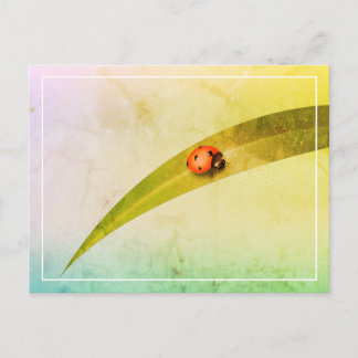 Postal Leaf de Ladybug