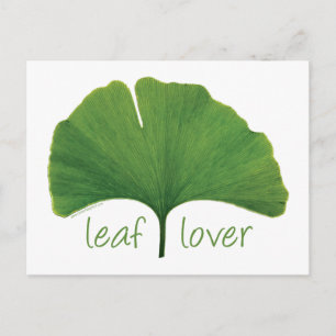 Postal Leaf Gingko