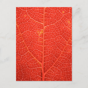 Postal Leaf otoñal