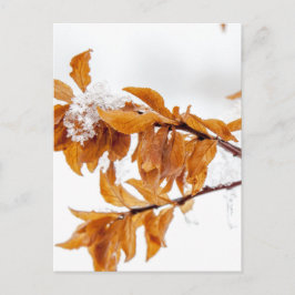 Postal Leafs naranja en invierno