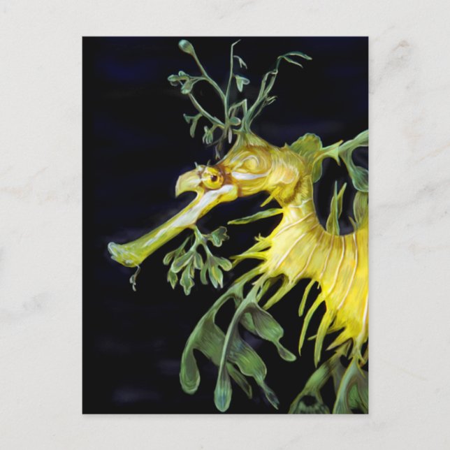 Postal Leafy Sea Dragon (Anverso)