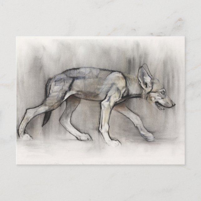 Postal Lean Pup (Anverso)