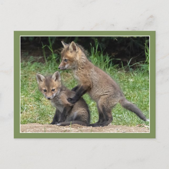 Postal Lean Sobre Mí (Anverso)