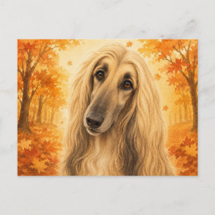Postal Lebrel afgano Bosque Otoñal Perro