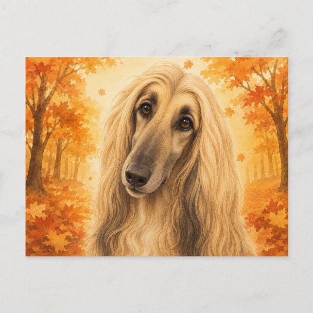 Postal Lebrel afgano Bosque Otoñal Perro (Anverso)