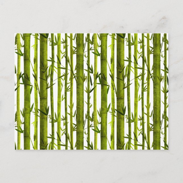 Postal Lecciones de bambú (Anverso)