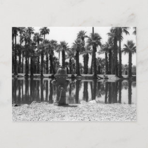 Postal Lecciones De Natación