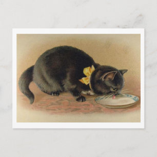Postal Leche de gato que bebe de una cosecha Bowl