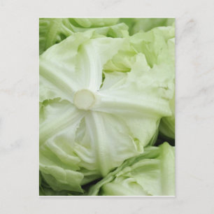 Postal Leche verde