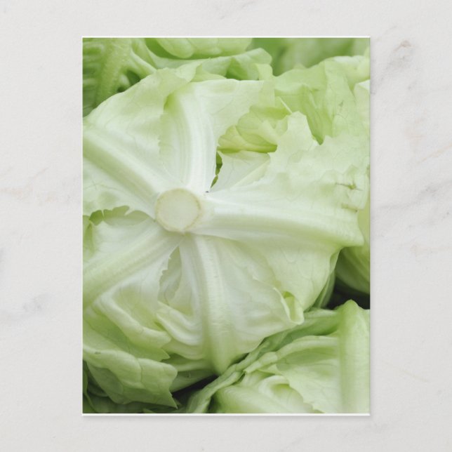 Postal Leche verde (Anverso)