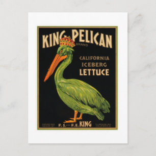 Postal Lechuga Pelican
