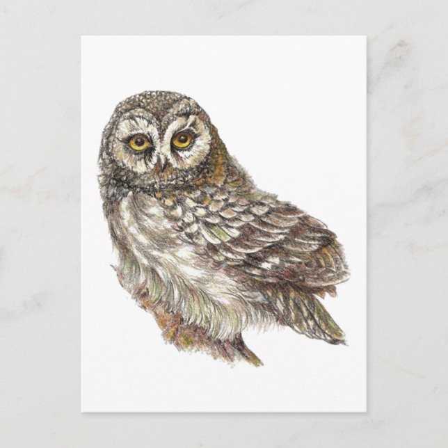 Postal Lechuza acuarela personalizado, pájaro, naturaleza (Anverso)