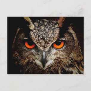Postal Lechuza águila
