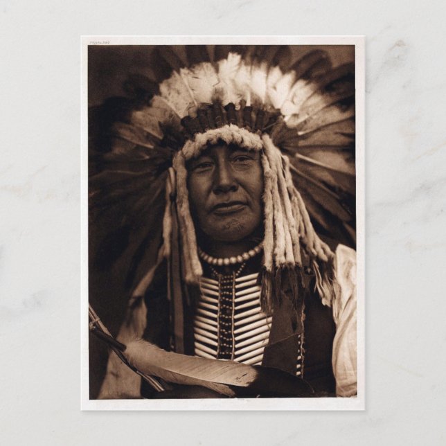 Postal Lechuza amarilla (Anverso)