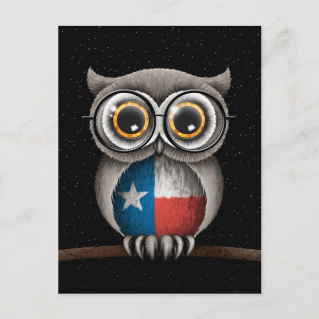 Postal Lechuza Bandera De Texas Con Gafas (Anverso)