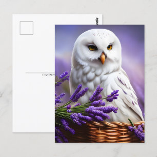 Postal Lechuza Blanca en Lavanda, Posttravesía