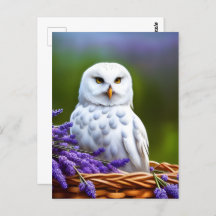 Lechuza Blanca en Lavanda, Posttravesía