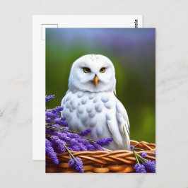 Postal Lechuza Blanca en Lavanda, Posttravesía