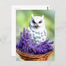 Lechuza Blanca en Lavanda, Posttravesía