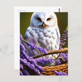 Postal Lechuza Blanca en Lavanda, Posttravesía