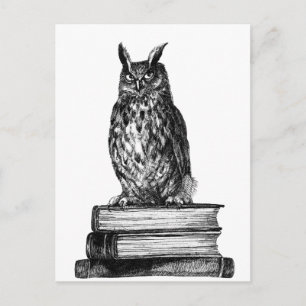 Postal Lechuza de biblioteca
