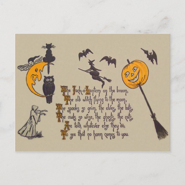 Postal Lechuza de bruja negra gato Jack O' Lantern (Anverso)