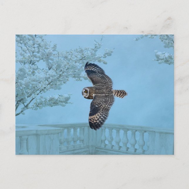 Postal Lechuza de corta duración en las praderas de Shawa (Anverso)