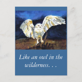 Postal Lechuza de nieve por Paula Atwell