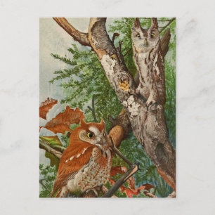 Postal Lechuza de voz (fases de color)