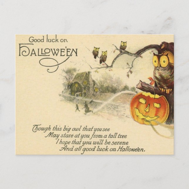 Postal Lechuza fantasma Jack O Lantern ve Halloween (Anverso)