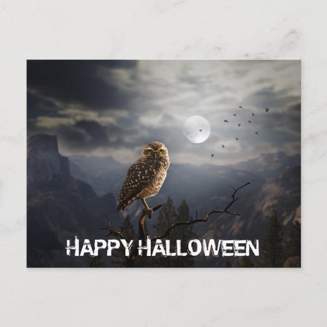Postal Lechuza fantasmal y Halloween luna llena (Anverso)